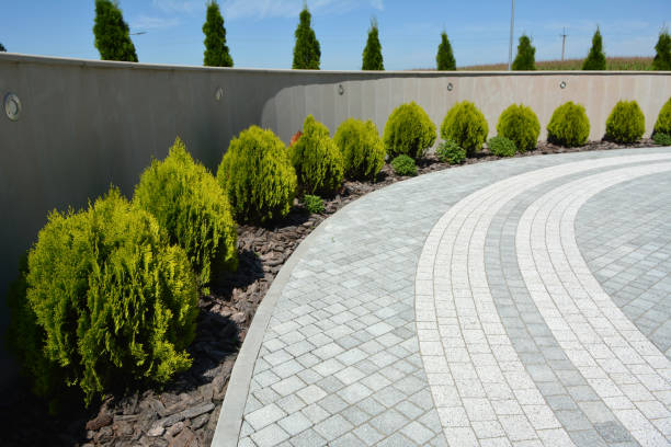 Best Brick Driveway Pavers  in Hallandale Beach, FL